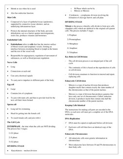  
Shrink in size when fat is used 
 
Also has endocrine function 
Skin Cells  
 
Composed of a layer of epithelial tissue