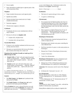  Occurs rapidly 
 Sister chromatids are pulled apart to opposite poles of the 
cell by kinetochore fibers 
Telophase  
 Si