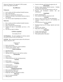 Eukaryotic Organisms: First appeared 2.0 BYA include 
protists, fungi, plants and animals. 
Key Differences 
Prokaryotes 
