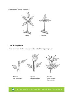 Leaf Classification and Types | PDF | Language Arts & Discipline ...