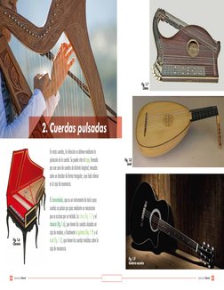 2. Cuerdas pulsadas
En estas cuerdas, la vibración se obtiene mediante la 
pulsación de la cuerda. Se puede citar el arpa, fo