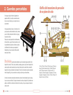 Gráfico del mecanismo de percusión 
de un piano de cola:
3. Cuerdas percutidas
En este grupo se logra la vibración al golpear