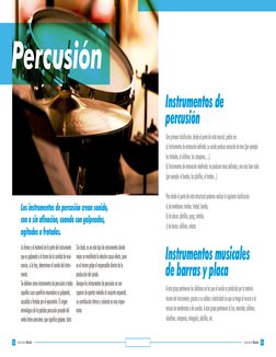 Instrumentos de 
percusión
Instrumentos musicales 
de barras y placa
Una primera clasificación, desde el punto de vista music
