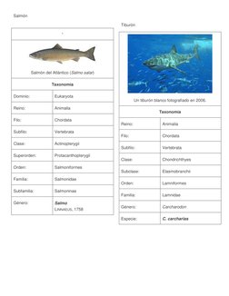 (https://commons.wikimedia.org/wiki/File:Salmo_salar.jpg) (https://commons.wikimedia.org/wiki/File:White_shark.jpg)Salmón