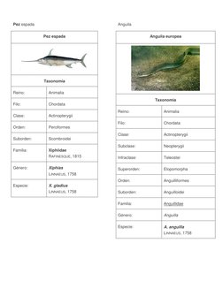 (https://commons.wikimedia.org/wiki/File:Anguilla_anguilla.jpg) (https://commons.wikimedia.org/wiki/File:Xiphias_gladius2.j