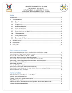 UNIVERSIDAD DE SANTIAGO DE CHILE 
FACULTAD DE INGENIERÍA 
DEPARTAMENTO DE INGENIERÍA EN MINAS 
DISEÑO Y PLANIFICACIÓN MINA