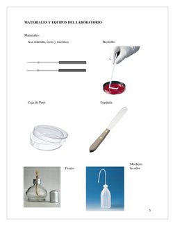 5 
 
MATERIALES Y EQUIPOS DEL LABORATORIO 
 
Materiales: 
    Asa redonda, recta y micótica
