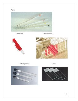 6 
 
Pipeta 
 
               Pipeteador                                                   Tubo de ensayo