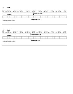 Mrna Translator Worksheet.pdf Transcription and Translation Worksheet | PDF | Translation (Biology ...