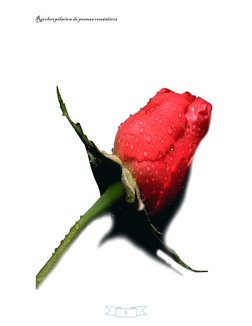 Recolecopilacion de poemas románticos 
 
5 
 
 
 
 
 
