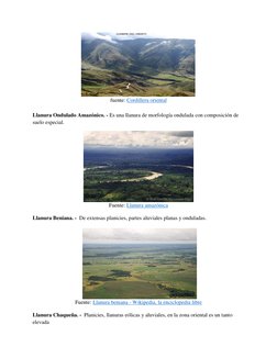 fuente: Cordillera oriental 
Llanura Ondulado Amazónico. - Es una llanura de morfología ondulada con composición de 
suelo es