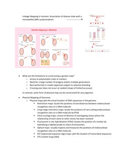 Linkage Mapping in Humans: Association of disease state with a 
minisatellite (MN ) polymorphism                         ----