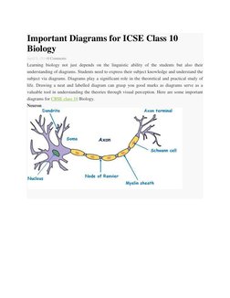 Important Biology Diagrams for ICSE 10 | PDF