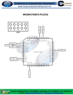 MC68HC705B16 PLCC52 
www.mcecursosautomotrices.com.mx 
 
Contacto:01(55)59317268 - 01(55)19880191  Whatsapp+52 1 55 19880191