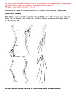 Homologies Worksheet.pdf Evidence of Evolution Worksheet Answers | PDF | Homology (Biology ...