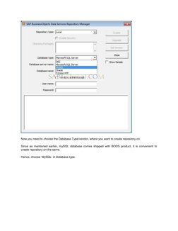 SAP BODS Beginner's Tutorial Guide | PDF | Databases | Parameter ...