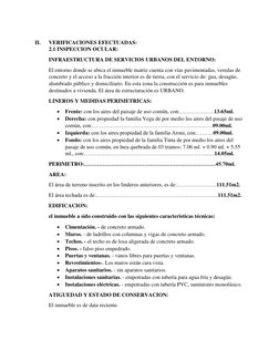 II. 
VERIFICACIONES EFECTUADAS: 
2.1 INSPECCION OCULAR:  
INFRAESTRUCTURA DE SERVICIOS URBANOS DEL ENTORNO: 
El entorno don