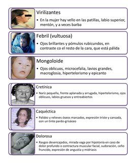 Virilizantes
• En la mujer hay vello en las patillas, labio superior, 
mentón, y a veces barba
Febril (vultuosa)
• Ojos brill