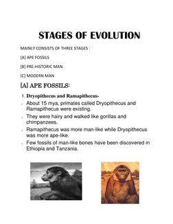 Human Evolution: An Investigatory Project | PDF | Homo | Human Evolution