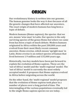 Human Evolution: An Investigatory Project | PDF | Homo | Human Evolution