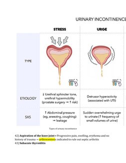 (https://www.thehymedicine.com/renal) (https://www.thehymedicine.com/renal)Types of urinary incontinence  
  (https://www.th
