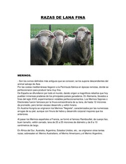 RAZAS DE LANA FINA 
 
 
 
 
 
 
 
 
MERINOS. 
- Son los ovinos definidos más antiguos que se conocen; se los supone descendie