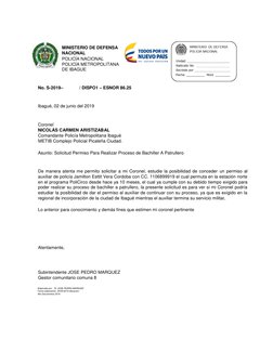 MINISTERIO DE DEFENSA 
NACIONAL  
POLICÍA NACIONAL  
POLICÍA METROPOLITANA 
DE IBAGUE   
  
   
No. S-2019–
