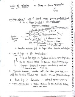 Handwritten ENT Notes for MBBS Students | PDF | Human Head And Neck ...