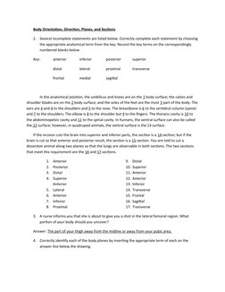 Body Orientation, Direction, Planes, and Sections
2.
Several incomplete statements are listed below. Correctly complete each