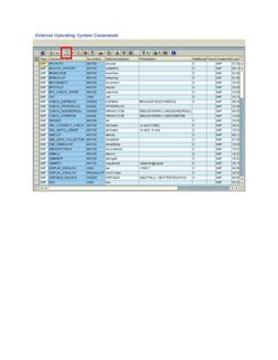 SAP External OS Command Execution Guide | PDF