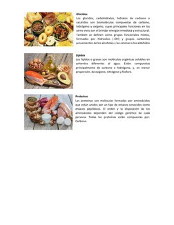 Glúcidos 
Los glúcidos, carbohidratos, hidratos de carbono o 
sacáridos son biomoléculas compuestas de carbono, 
hidrógeno