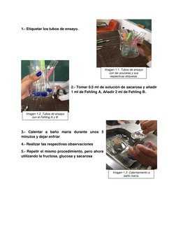 1.- Etiquetar los tubos de ensayo. 
 
 
 
 
 
 
2.- Tomar 0.5 ml de solución de sacarosa y añadir 
1 ml de Fehling A, Añadi