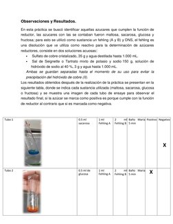 Observaciones y Resultados. 
 
En esta práctica se buscó identificar aquellas azucares que cumplen la función de 
reductor, l