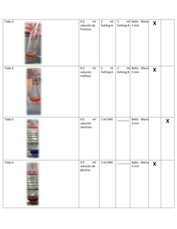 Tubo 3     
0.5 
ml 
solución de 
fructosa 
1 
ml 
Fehling A 
2 
ml 
Fehling B 
Baño María 
5 min 
X 
 
Tubo 4 
0.5 
ml 
solu