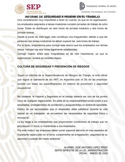 Informe de Seguridad e Higiene Laboral | PDF | Seguro | Seguridad y ...