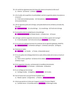 50- ¿En cuál de los siguientes pisos de la base del cráneo se encuentra la silla turca? 
a) Anterior   b) Posterior   c) Infe