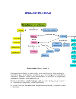 CIRCULACIÓN EN ANIMALES
 
 
 
Elaborado por: Sismay García B.
  
El proceso de circulación en los animales tiene relación con