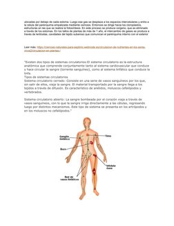 (http://recursos.cnice.mec.es/biosfera/alumno/3ESO/aparato_circulatorio/Dibujos/sistema_linfatico.jpg)ubicadas por debajo de