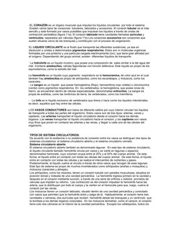  
-EL CORAZÓN es un órgano muscular que impulsa los líquidos circulantes  por todo el sistema 
.Existen varios tipos de coraz