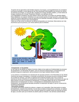  El gremio de los agricultores está dividido respecto a los hongos. Los fungodetractores los consideran 
sus peores enemigos,