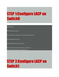 LACP Configuration and Troubleshooting Guide | PDF