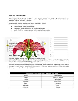 Identification Test Item Guidelines | PDF | Multiple Choice | Question