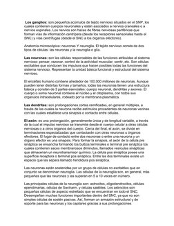 Los ganglios: son pequeños acúmulos de tejido nervioso situados en el SNP, los
cuales contienen cuerpos neuronales y están a