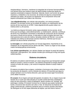 citoplasmáticas. Asimismo, mantienen la integridad de la barrera hemoencefálica, 
una barrera física que impide el paso de de
