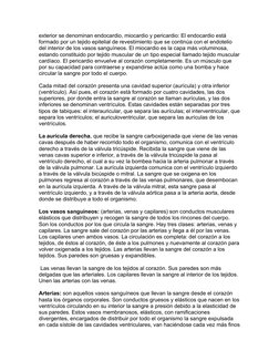 exterior se denominan endocardio, miocardio y pericardio: El endocardio está 
formado por un tejido epitelial de revestimient