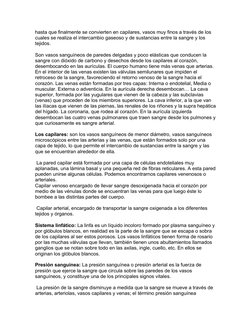 hasta que finalmente se convierten en capilares, vasos muy finos a través de los 
cuales se realiza el intercambio gaseoso y