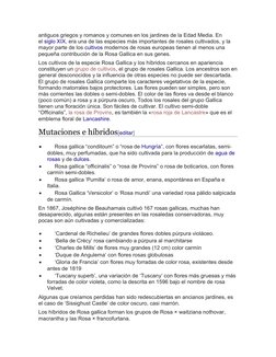 antiguos griegos y romanos y comunes en los jardines de la Edad Media. En 
el siglo XIX, era una de las especies más importan