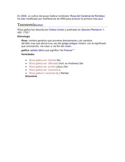 En 2004. un cultivo del grupo Gallica nombrado ‘Rosa del Cardenal de Richelieu (https://es.wikipedia.org/wiki/Rosa_del_Carden