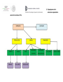 Instituto Tecnológico Superior de Alvarado
1) Organigrama de la 
estructura organizativa 
actual de las bolsas S.R.L.
