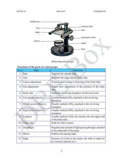 Class 10 Biology Practical Guide | PDF | Critical Thinking | Communication